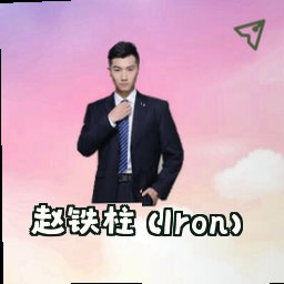 赵铁柱 (Iron)
