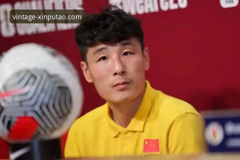 国足百场里程碑深度评测：武磊回归与新葡萄体育平台观赛体验分析